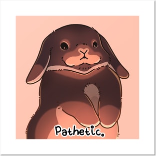 Pathetic Bunny Posters and Art